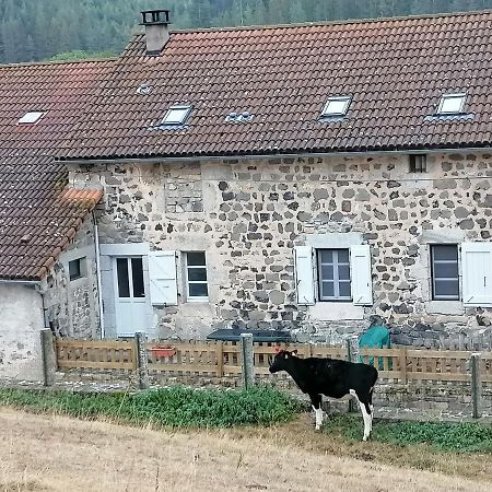 Gite A La Ferme Le Malzieu-Ville المظهر الخارجي الصورة