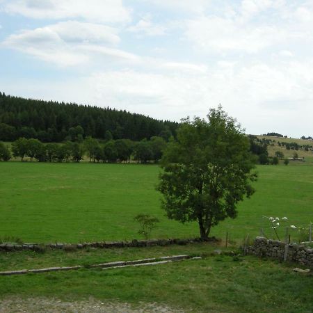 Gite A La Ferme Le Malzieu-Ville المظهر الخارجي الصورة