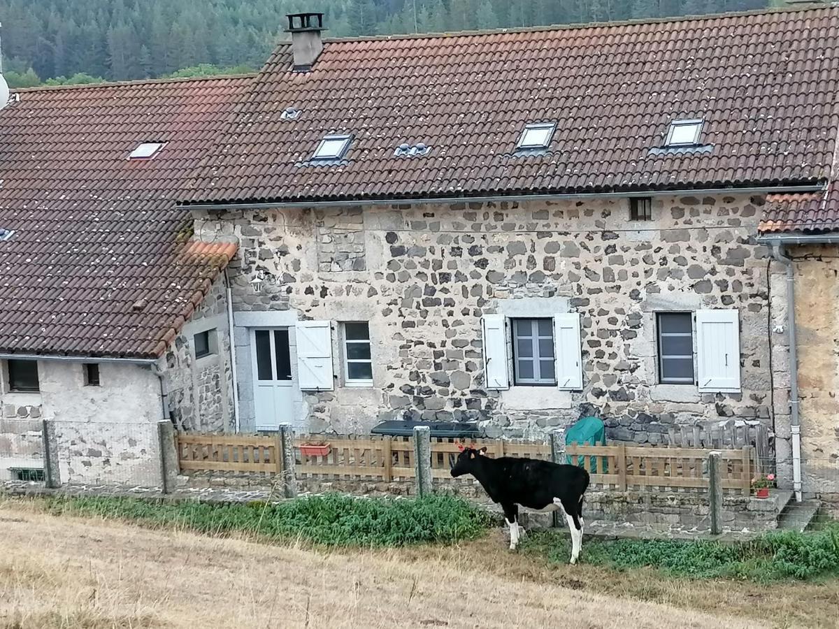Gite A La Ferme Le Malzieu-Ville المظهر الخارجي الصورة
