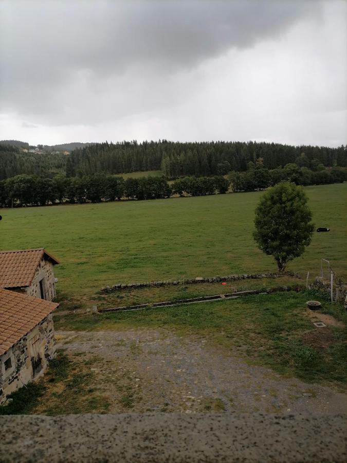 Gite A La Ferme Le Malzieu-Ville المظهر الخارجي الصورة